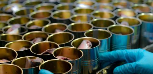 A importância das análises laboratoriais na indústria de pescado