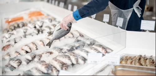 Reforma Tributária regulamentada: Pescado tem vitórias e desafios