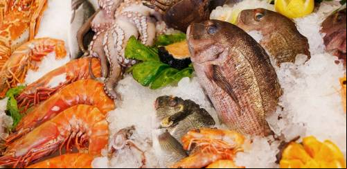O que a adesão de São Paulo ao SISBI-POA significa ao pescado?