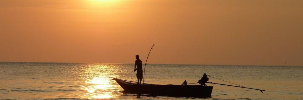 Pesca Sustentável e Rentável: setor precisa se adequar Pesca Sustentável e Rentável: setor precisa se adequar