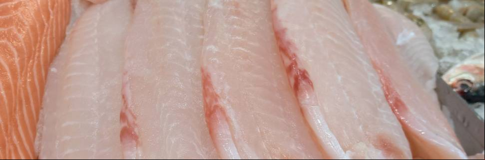 Pescado desafia a inflação e mantém preços estáveis em fevereiro Pescado desafia a inflação e mantém preços estáveis em fevereiro
