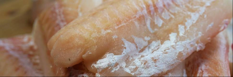 Material da Embrapa auxilia no controle de qualidade do filé de peixe