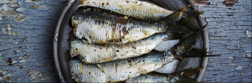 Produção total acumulada de farinha de peixe tem queda em 2022