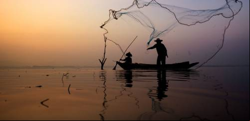 Gestão da sustentabilidade e do pescado: a esperança está na união