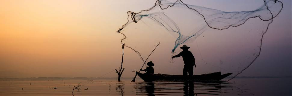 Gestão da sustentabilidade e do pescado: a esperança está na união