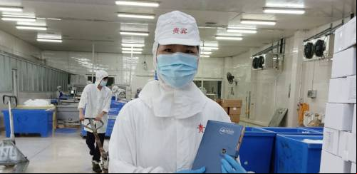 Tilápia chinesa: de alta histórica à queda profunda em três meses