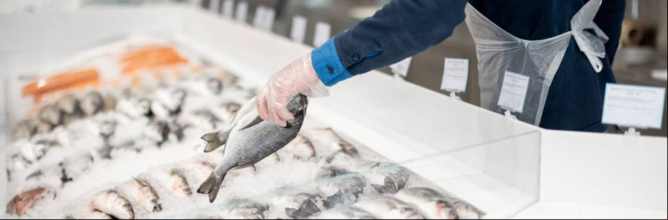 Reforma Tributária regulamentada: Pescado tem vitórias e desafios Reforma Tributária regulamentada: Pescado tem vitórias e desafios