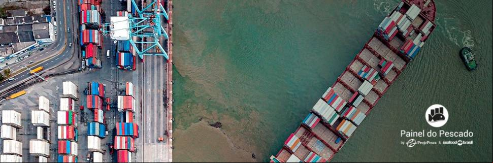 Receita de exportação de pescado brasileiro salta 7,57% em outubro