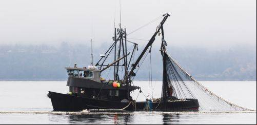 Entre avanços e retrocessos, a pesca precisa de uma nova lei 