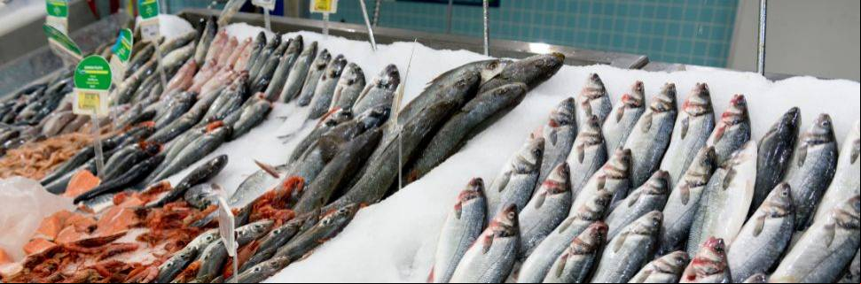 Sou consumidor, estou na gôndola e é Páscoa: como escolher meu peixe? Sou consumidor, estou na gôndola e é Páscoa: como escolher meu peixe?