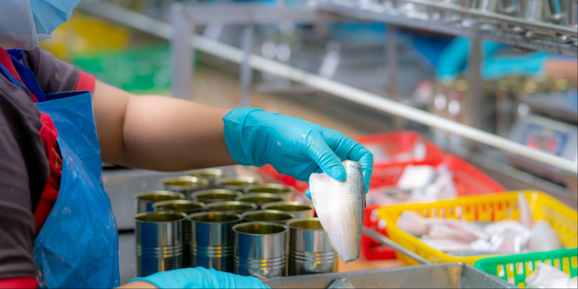 É possível uma pequena empresa ter a certificação ISO?