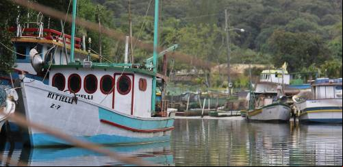 Oceana: pescadores comemoram suspensão de arrasto no RS