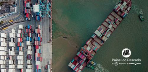 Veja como foi a Balança Comercial do pescado em 2022