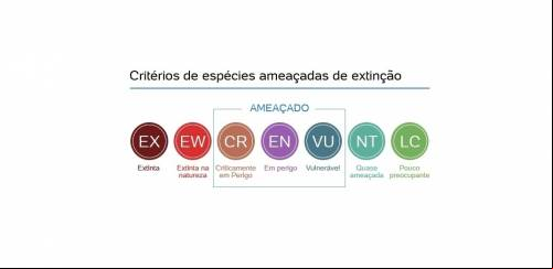 A problemática das espécies consideradas ameaçadas de extinção no País