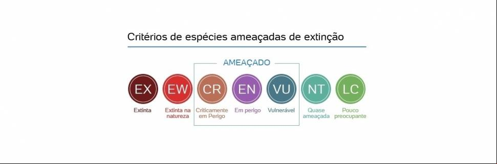 A problemática das espécies consideradas ameaçadas de extinção no País