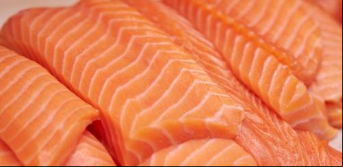 Importações de salmões e trutas pelo Brasil permanecem em alta