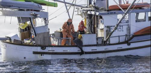 Alaska Seafood confirma participação na Seafood Show Latin America