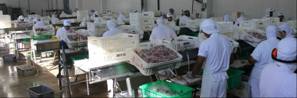 Ambiente regulatório: o grande desafio da indústria de processamento
