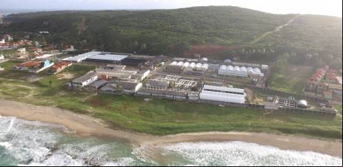 Aquatec: há 30 anos nascia o maior laboratório de pós-larvas do Brasil