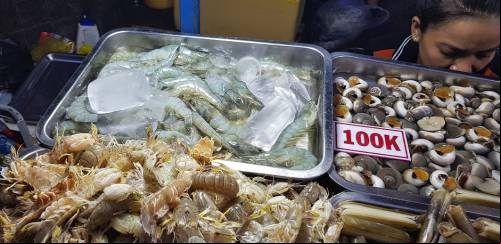 Aquicultura na Ásia em foco: Vietnã  