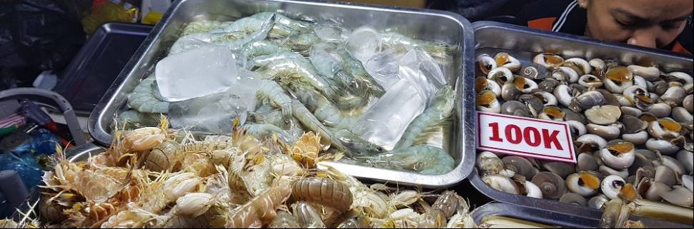 Aquicultura na Ásia em foco: Vietnã  