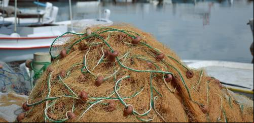 Novo sistema de recadastramento de pescadores será lançado amanhã (29)