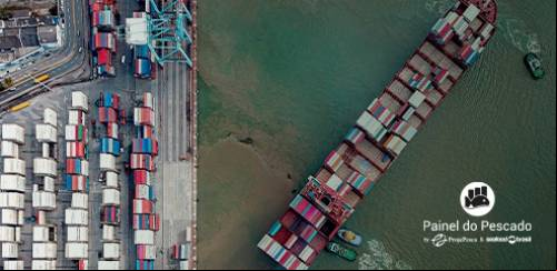 Exportação de tilápia tem queda no 1º semestre de 2023