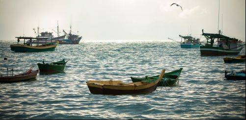 O papel da pesca em SC como pilar econômico e cultural no Brasil  