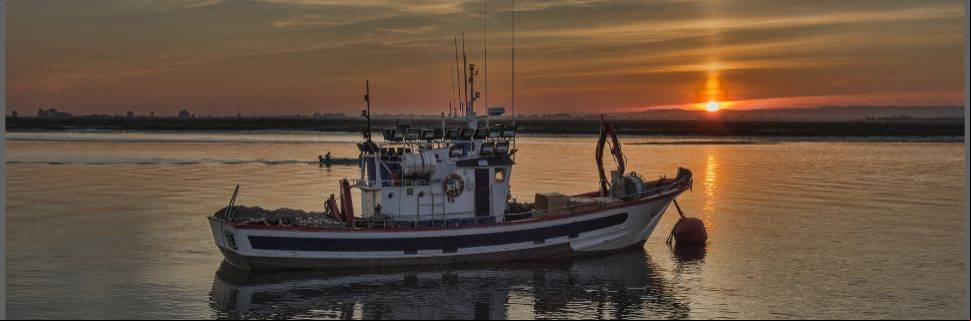 Plataforma Nacional da Indústria do Pescado é oficialmente lançada