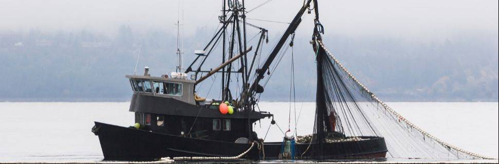 Entre avanços e retrocessos, a pesca precisa de uma nova lei 