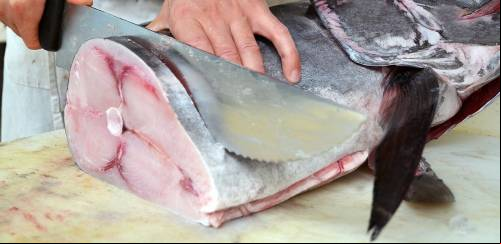 China suspende exportação de frigorífico de pescado brasileiro 