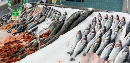 A importância da qualificação de fornecedores na qualidade do pescado 