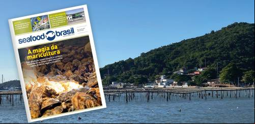 Seafood Brasil #48 já está disponível
