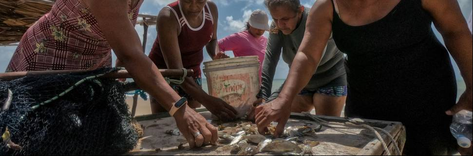 Alimentos azuis: oportunidade de melhoria com menos impacto ambiental
