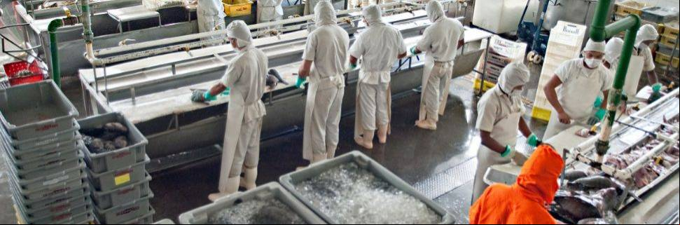 Como escolher o selo de inspeção adequado para sua indústria?