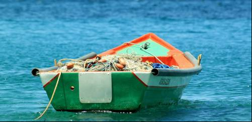 Governo anuncia linhas de crédito para pesca e mudanças na aquicultura