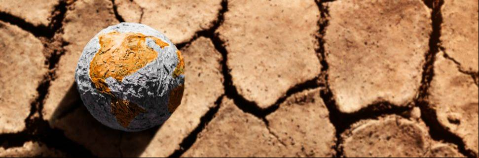 Mudanças climáticas: a COP 29 para a pesca e aquicultura nacional Mudanças climáticas: a COP 29 para a pesca e aquicultura nacional
