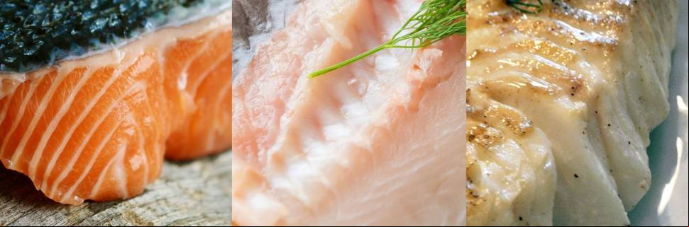 Como tem sido o desempenho da tilápia, salmão e bacalhau em 2022?