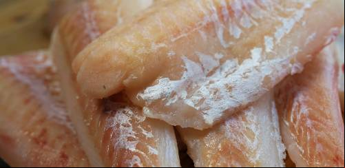 Material da Embrapa auxilia no controle de qualidade do filé de peixe