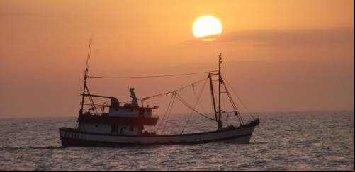 Mudanças climáticas: como a pesca está sendo afetada 