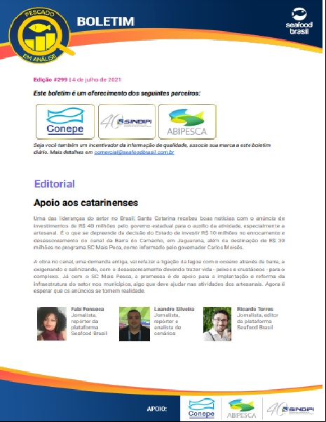 Edição 299