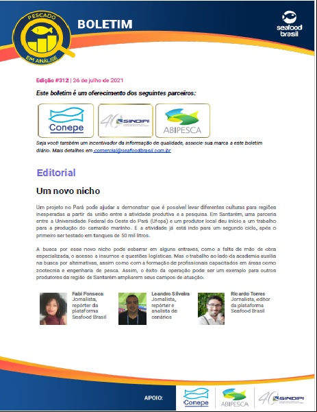 Edição 312