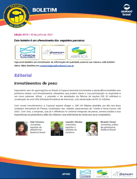 Edição 316
