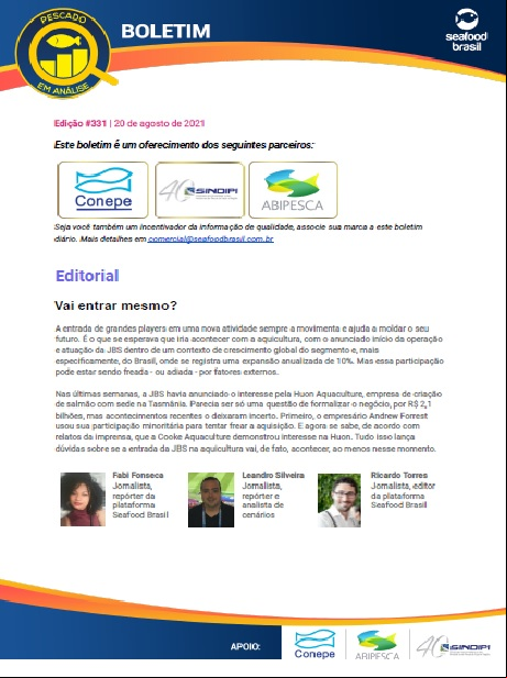 Edição 331