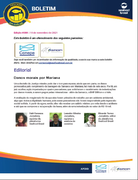 Edição 388