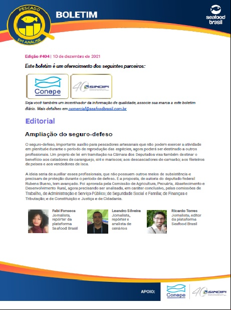Edição 404