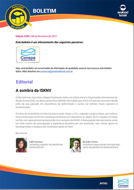 Edição 200